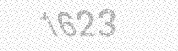 Visual security code — type the characters shown in the image
